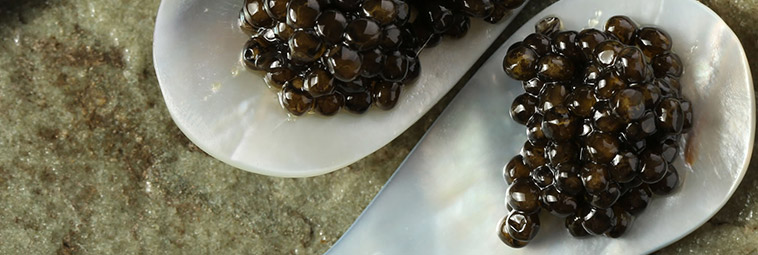 Kaviar | Caspian Caviar